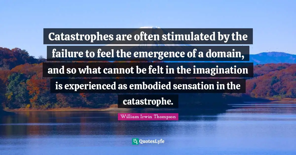 Catastrophes are often stimulated by the failure to feel the emergence of a domain, and so what cannot be felt in the imagination is experienced as embodied sensation in the catastrophe.
