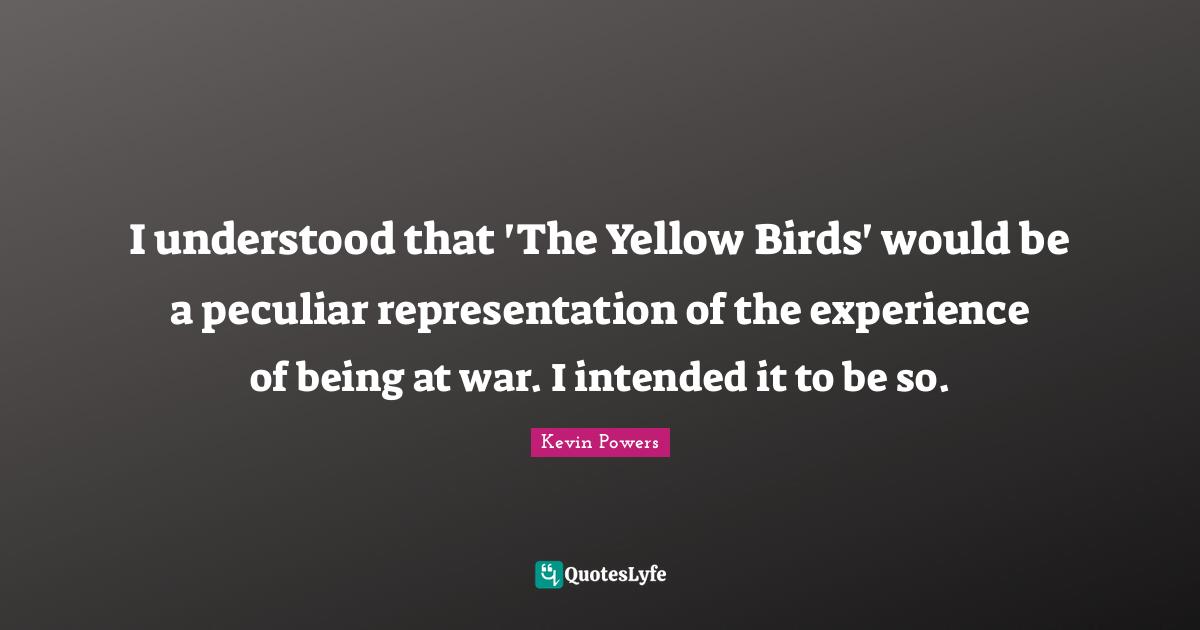 I understood that 'The Yellow Birds' would be a peculiar representation of the experience of being at war. I intended it to be so.
