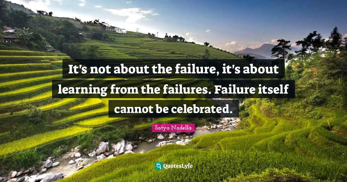 It's not about the failure, it's about learning from the failures. Failure itself cannot be celebrated.
