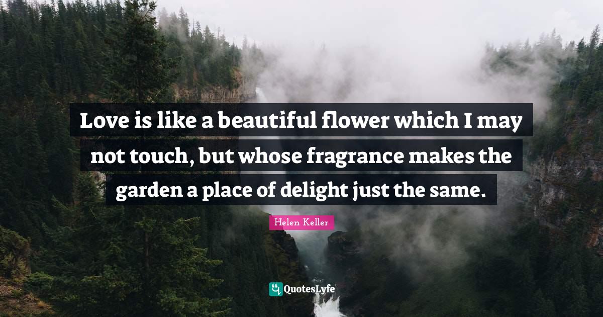 Best Beautiful Flower Quotes with images to share and download for free