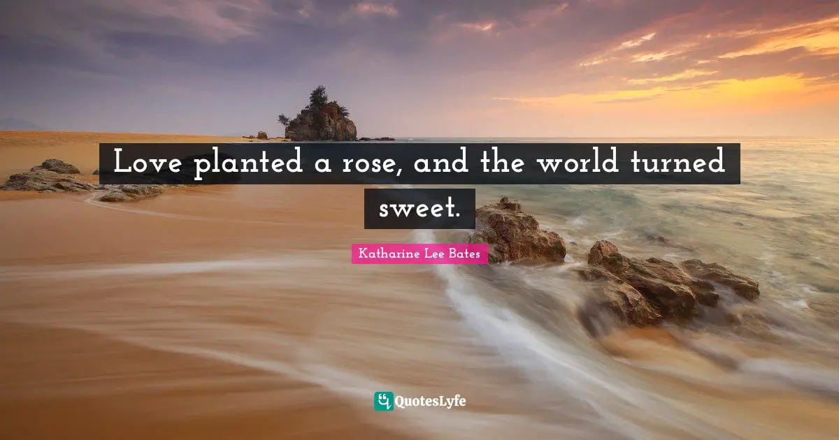 Love planted a rose, and the world turned sweet.