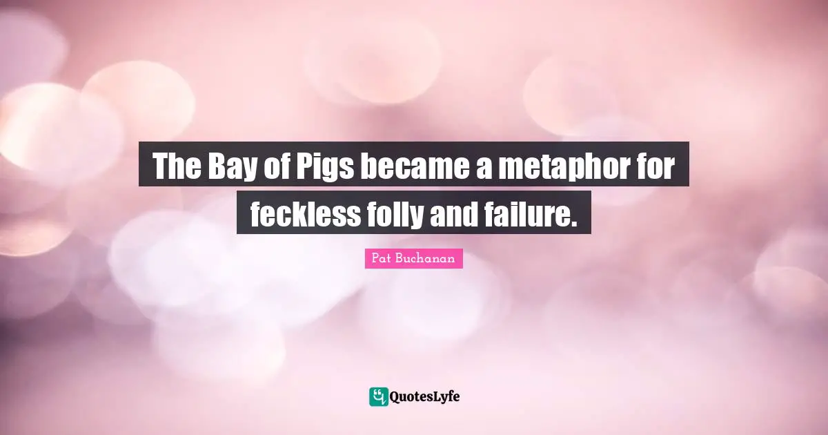 The Bay of Pigs became a metaphor for feckless folly and failure.