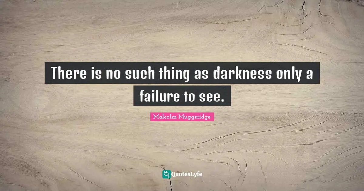 There is no such thing as darkness only a failure to see.