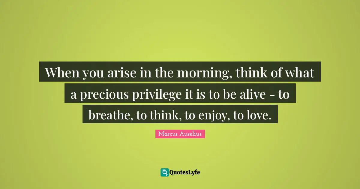 Marcus Aurelius Quotes: When you arise in the morning, think of what a precious privilege it is to be alive - to breathe, to think, to enjoy, to love.