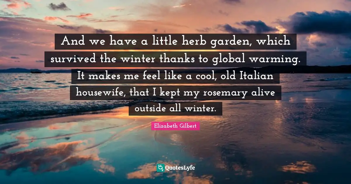 And we have a little herb garden, which survived the winter thanks to global warming. It makes me feel like a cool, old Italian housewife, that I kept my rosemary alive outside all winter.