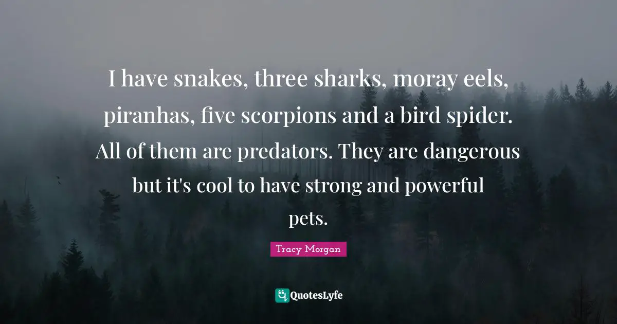 I have snakes, three sharks, moray eels, piranhas, five scorpions and a bird spider. All of them are predators. They are dangerous but it's cool to have strong and powerful pets.
