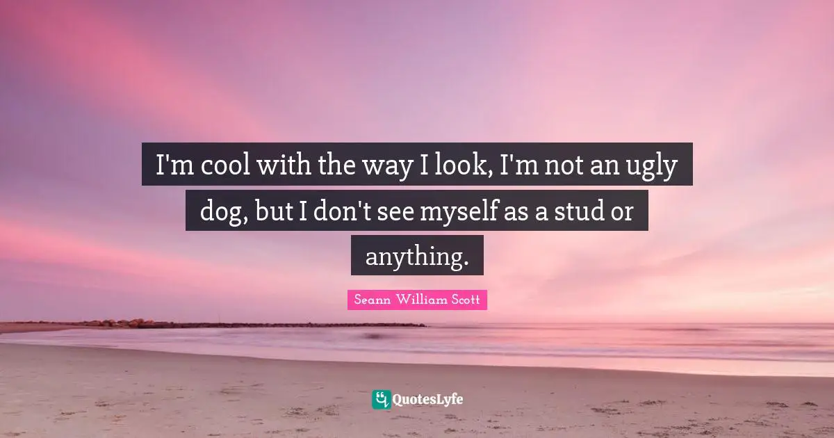 I'm cool with the way I look, I'm not an ugly dog, but I don't see myself as a stud or anything.
