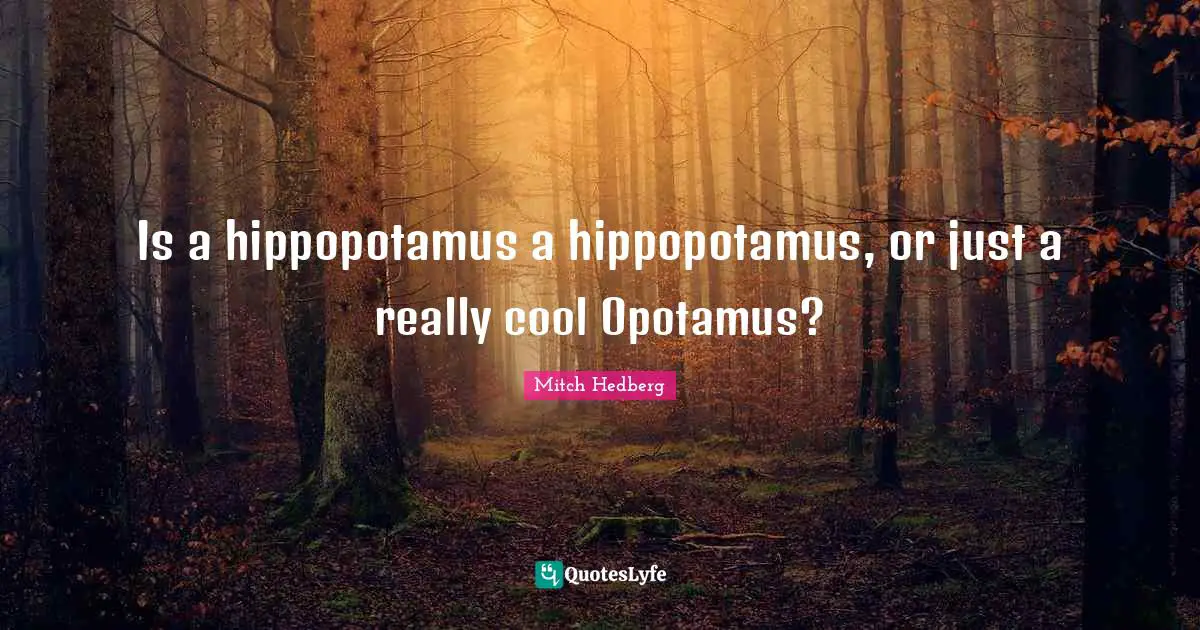 Is a hippopotamus a hippopotamus, or just a really cool Opotamus?