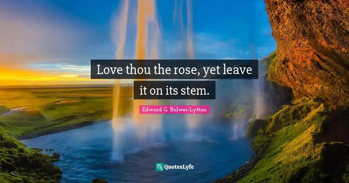 Love thou the rose, yet leave it on its stem.