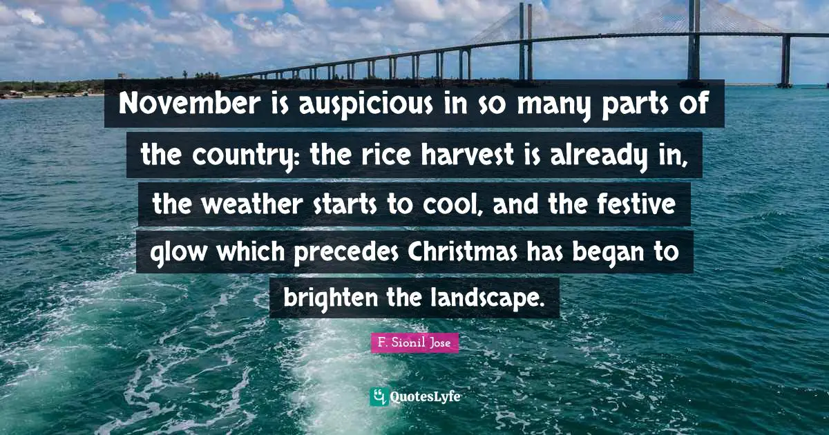 November is auspicious in so many parts of the country: the rice harvest is already in, the weather starts to cool, and the festive glow which precedes Christmas has began to brighten the landscape.