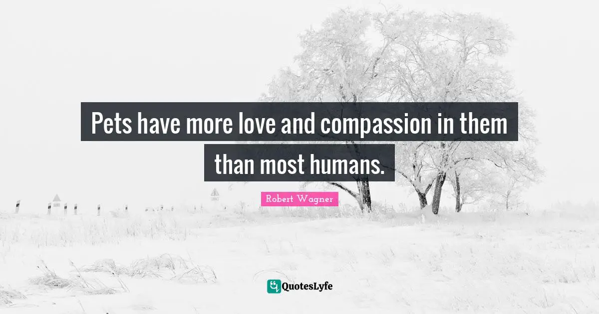 Pets have more love and compassion in them than most humans.