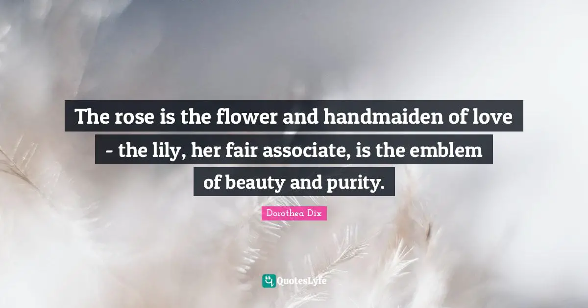 The rose is the flower and handmaiden of love - the lily, her fair associate, is the emblem of beauty and purity.