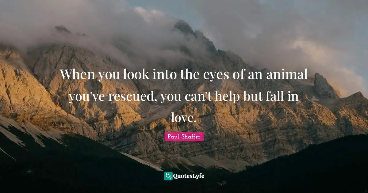 When you look into the eyes of an animal you've rescued, you can't help but fall in love.
