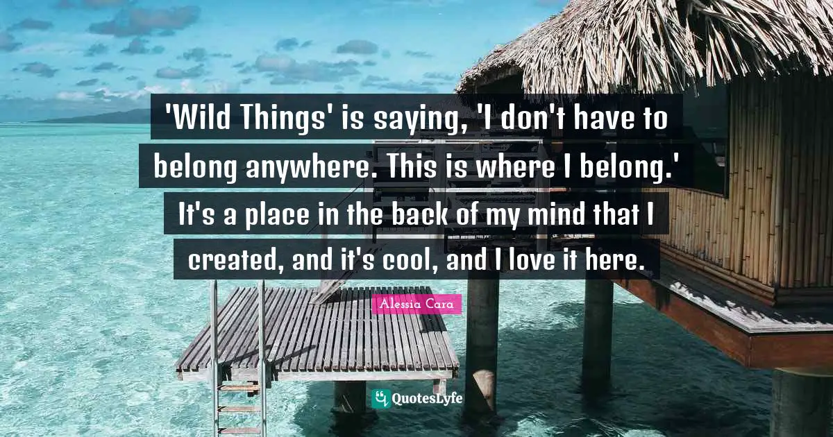 'Wild Things' is saying, 'I don't have to belong anywhere. This is where I belong.' It's a place in the back of my mind that I created, and it's cool, and I love it here.