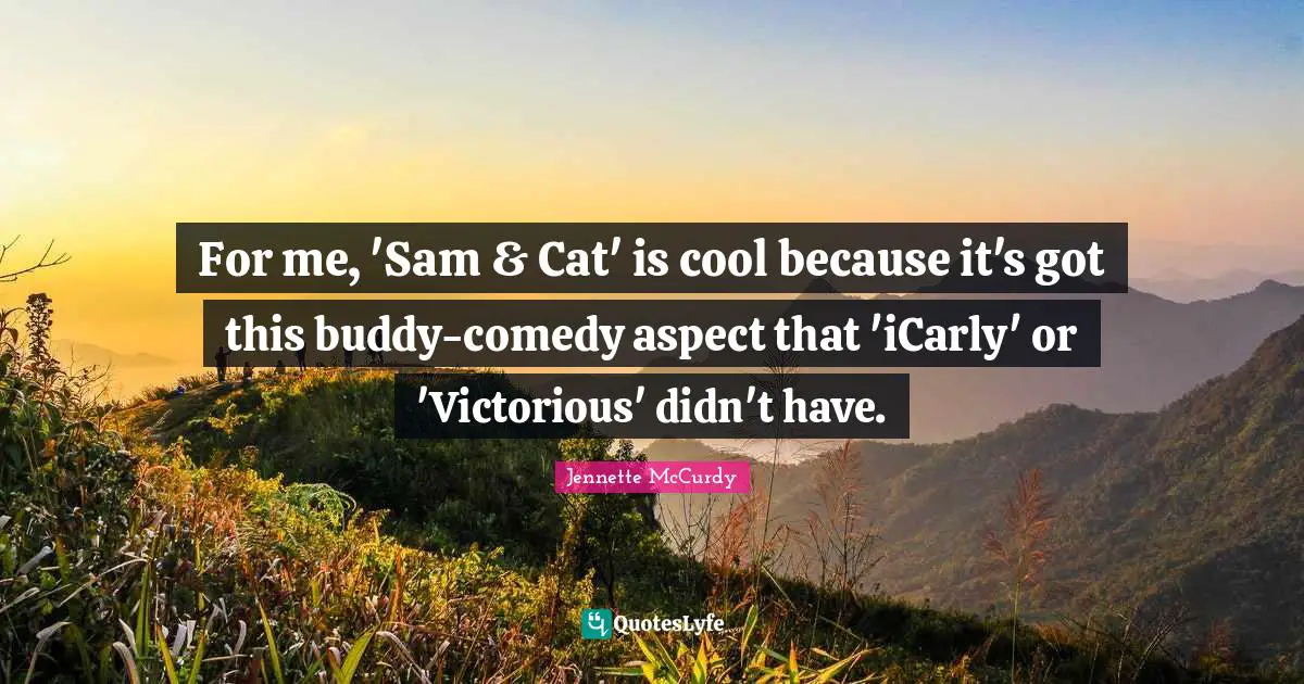 For me, 'Sam & Cat' is cool because it's got this buddy-comedy aspect that 'iCarly' or 'Victorious' didn't have.