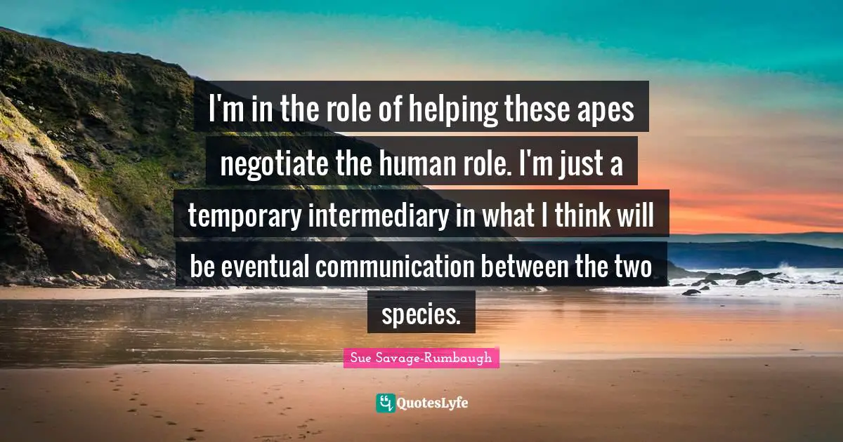 I'm in the role of helping these apes negotiate the human role. I'm just a temporary intermediary in what I think will be eventual communication between the two species.
