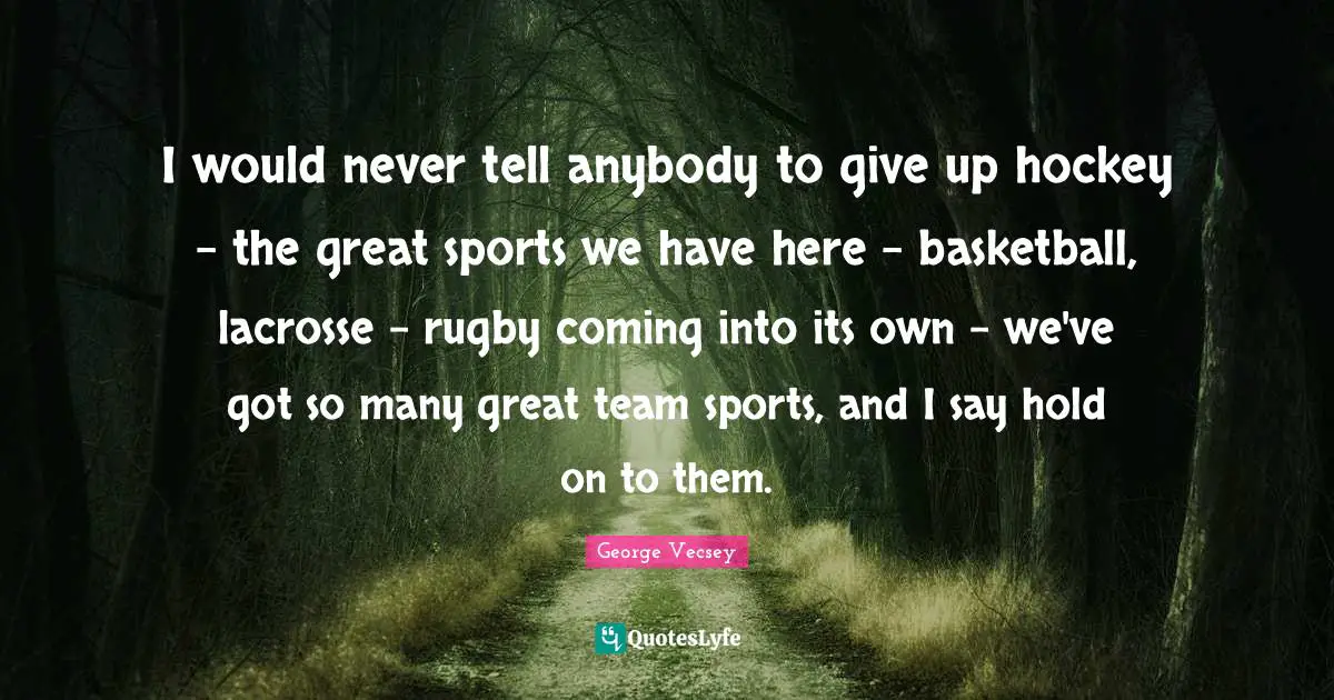 I would never tell anybody to give up hockey - the great sports we have here - basketball, lacrosse - rugby coming into its own - we've got so many great team sports, and I say hold on to them.