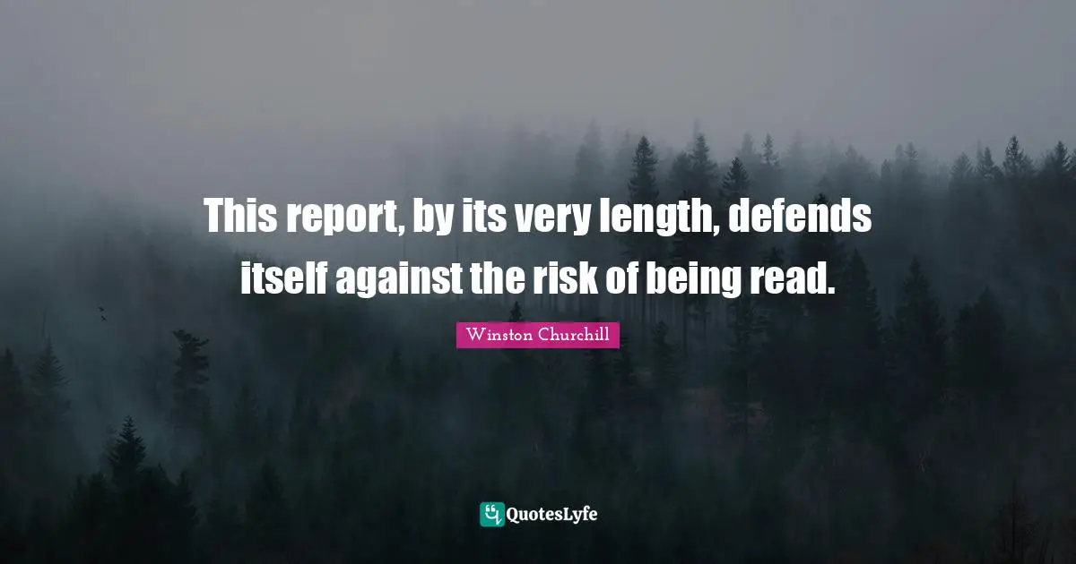 This report, by its very length, defends itself against the risk of being read.