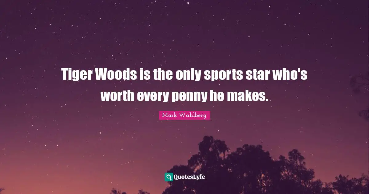 Tiger Woods is the only sports star who's worth every penny he makes.