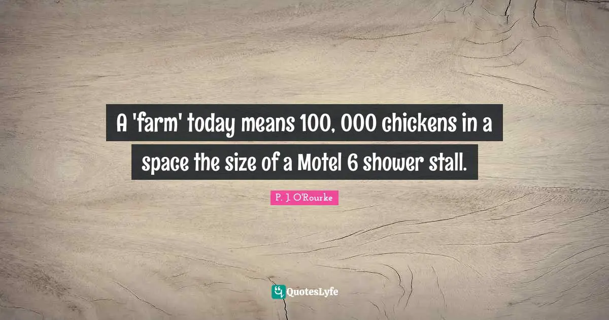 A 'farm' today means 100, 000 chickens in a space the size of a Motel 6 shower stall.