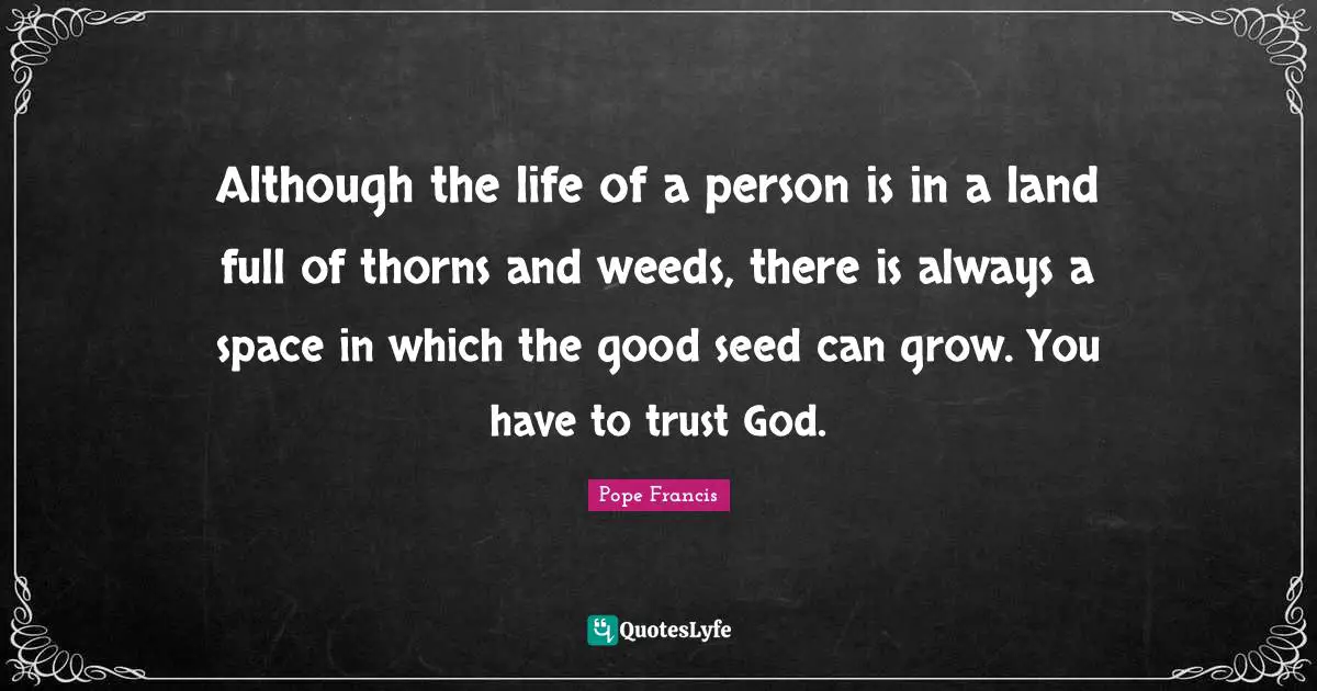 Although the life of a person is in a land full of thorns and weeds, there is always a space in which the good seed can grow. You have to trust God.