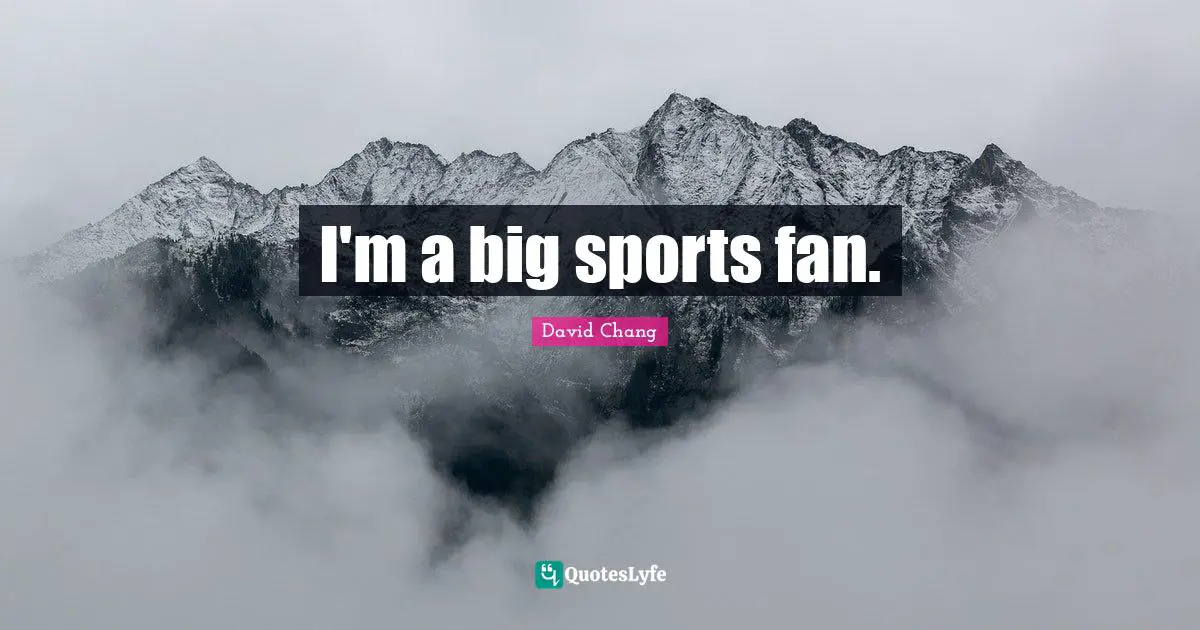 I'm a big sports fan.