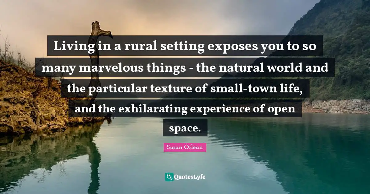 Living in a rural setting exposes you to so many marvelous things - the natural world and the particular texture of small-town life, and the exhilarating experience of open space.