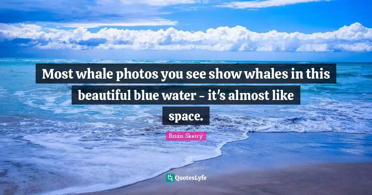 Most whale photos you see show whales in this beautiful blue water - it's almost like space.