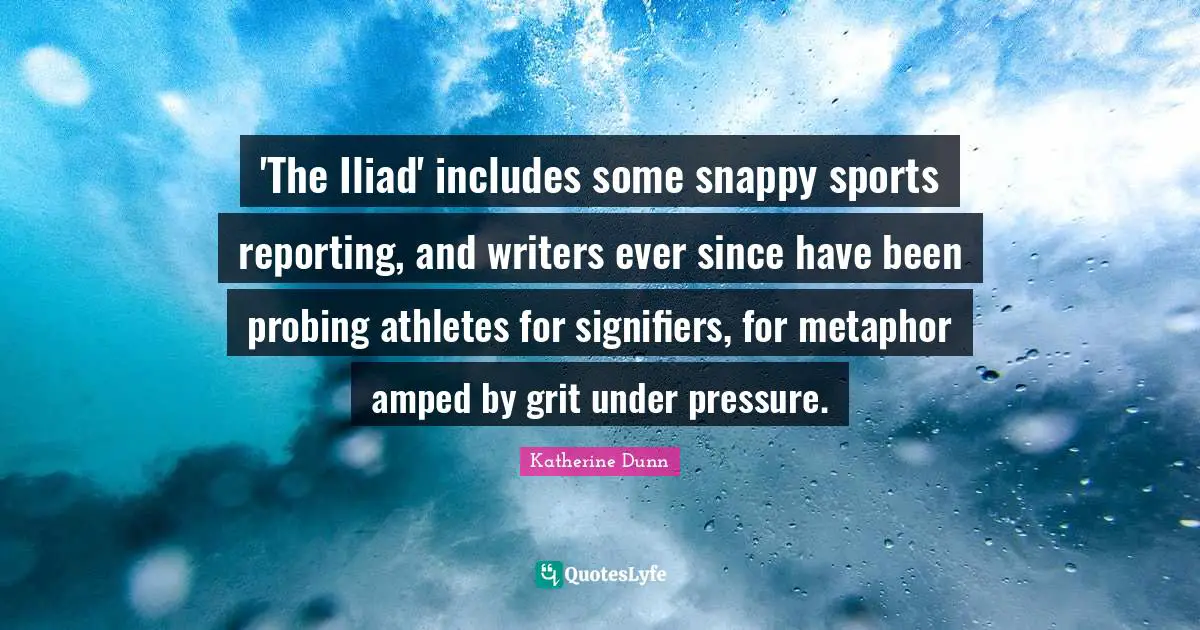 'The Iliad' includes some snappy sports reporting, and writers ever since have been probing athletes for signifiers, for metaphor amped by grit under pressure.