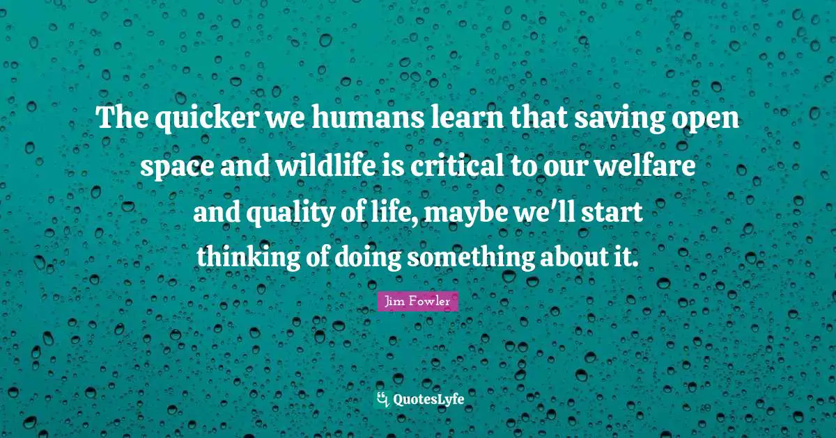 The quicker we humans learn that saving open space and wildlife is critical to our welfare and quality of life, maybe we'll start thinking of doing something about it.