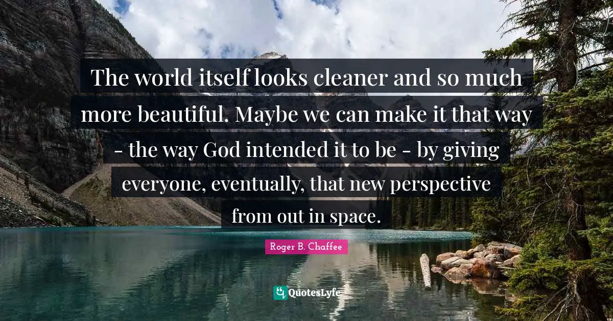 The world itself looks cleaner and so much more beautiful. Maybe we can make it that way - the way God intended it to be - by giving everyone, eventually, that new perspective from out in space.