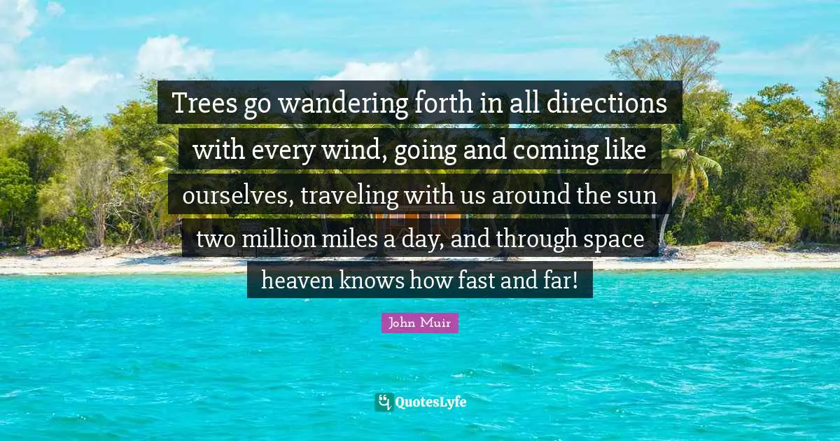 Trees go wandering forth in all directions with every wind, going and coming like ourselves, traveling with us around the sun two million miles a day, and through space heaven knows how fast and far!