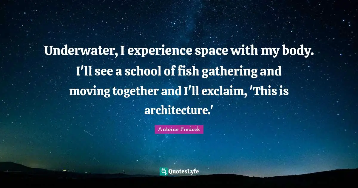 Underwater, I experience space with my body. I'll see a school of fish gathering and moving together and I'll exclaim, 'This is architecture.'