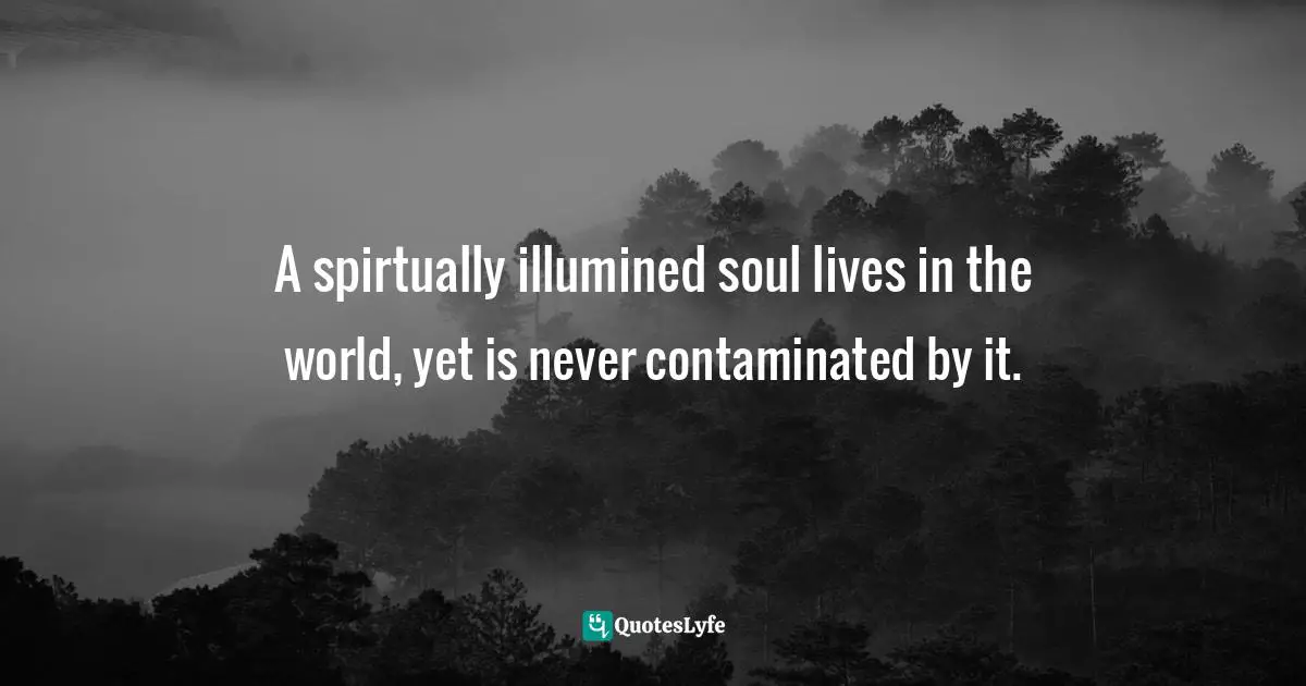 A spirtually illumined soul lives in the world, yet is never contaminated by it.
