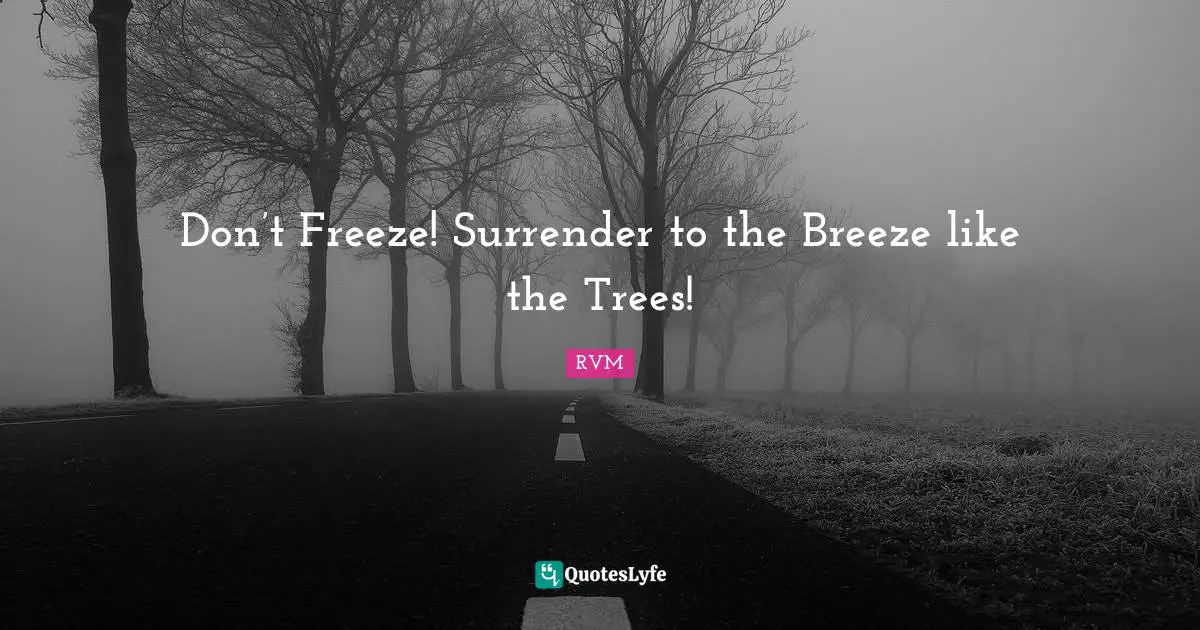 Don’t Freeze! Surrender to the Breeze like the Trees!