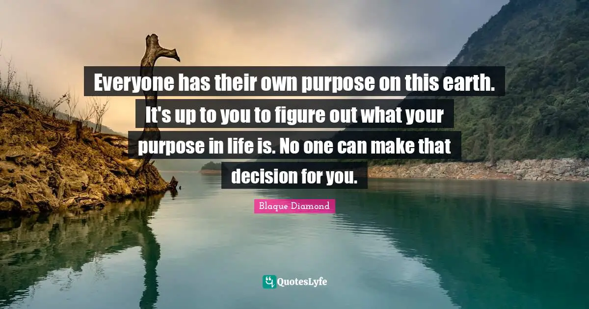 Everyone has their own purpose on this earth. It's up to you to figure out what your purpose in life is. No one can make that decision for you.