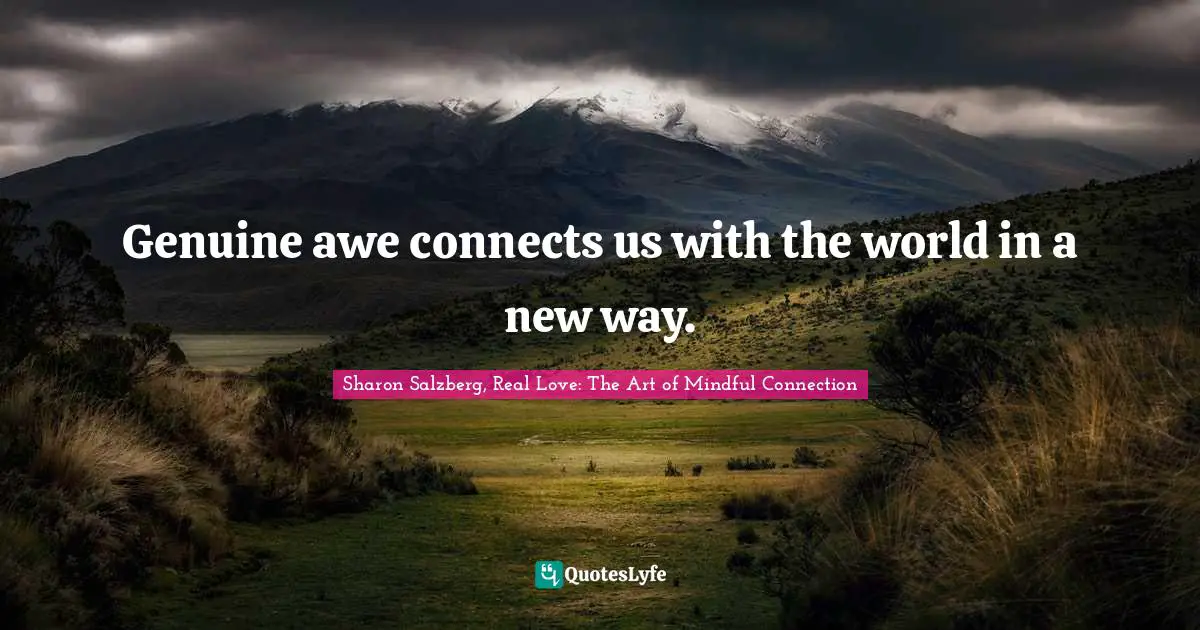 Genuine awe connects us with the world in a new way.