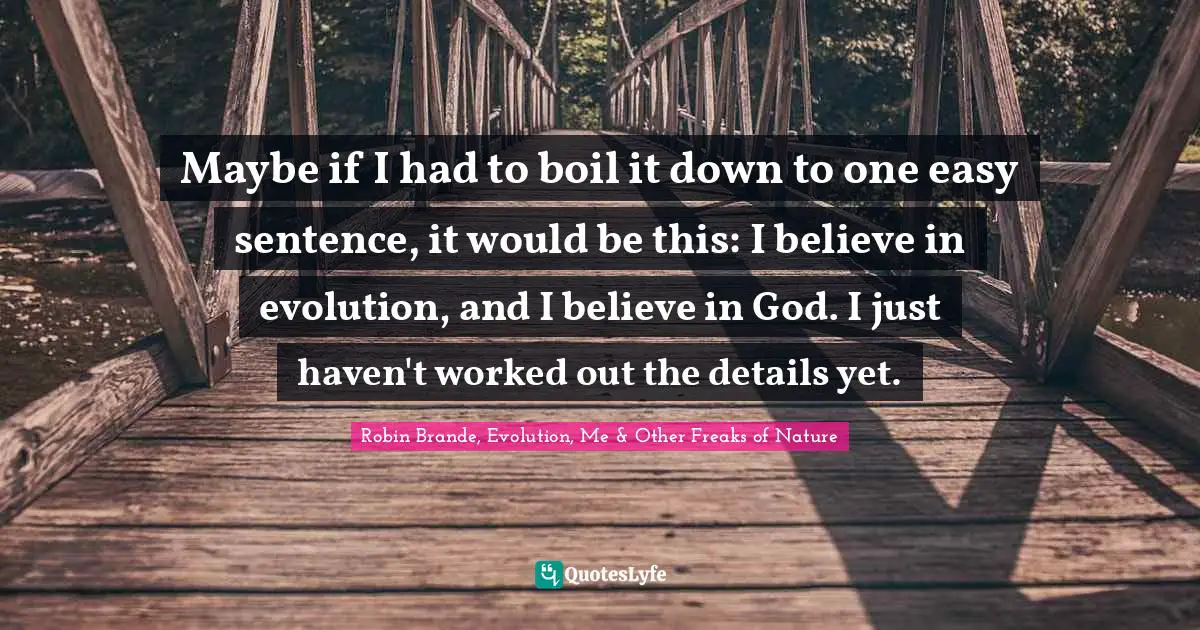 Maybe if I had to boil it down to one easy sentence, it would be this: I believe in evolution, and I believe in God. I just haven't worked out the details yet.