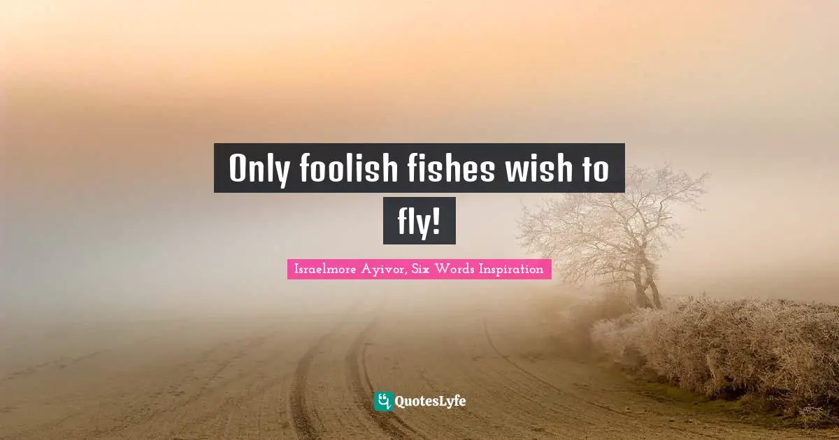 Israelmore Ayivor, Six Words Inspiration Quotes: Only foolish fishes wish to fly!