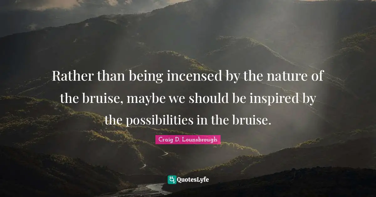 Craig D. Lounsbrough Quotes: Rather than being incensed by the nature of the bruise, maybe we should be inspired by the possibilities in the bruise.