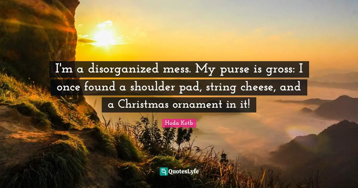 I'm a disorganized mess. My purse is gross: I once found a shoulder pad, string cheese, and a Christmas ornament in it!