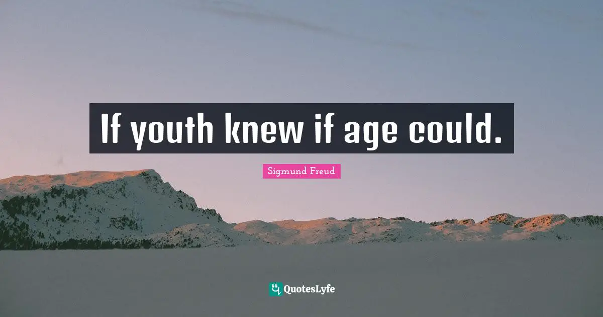 If youth knew if age could.