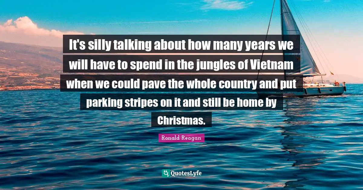 It's silly talking about how many years we will have to spend in the jungles of Vietnam when we could pave the whole country and put parking stripes on it and still be home by Christmas.