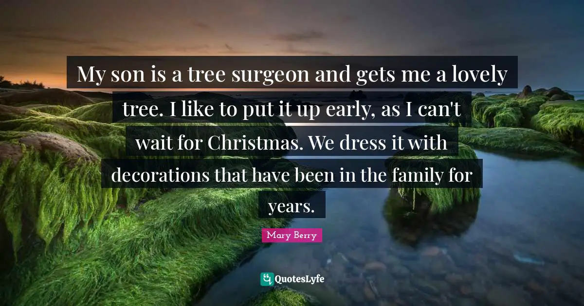My son is a tree surgeon and gets me a lovely tree. I like to put it up early, as I can't wait for Christmas. We dress it with decorations that have been in the family for years.