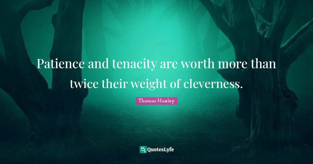 Patience and tenacity are worth more than twice their weight of cleverness.