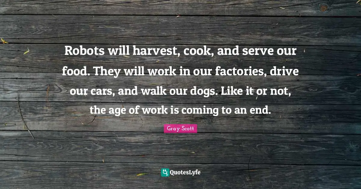 Robots will harvest, cook, and serve our food. They will work in our factories, drive our cars, and walk our dogs. Like it or not, the age of work is coming to an end.