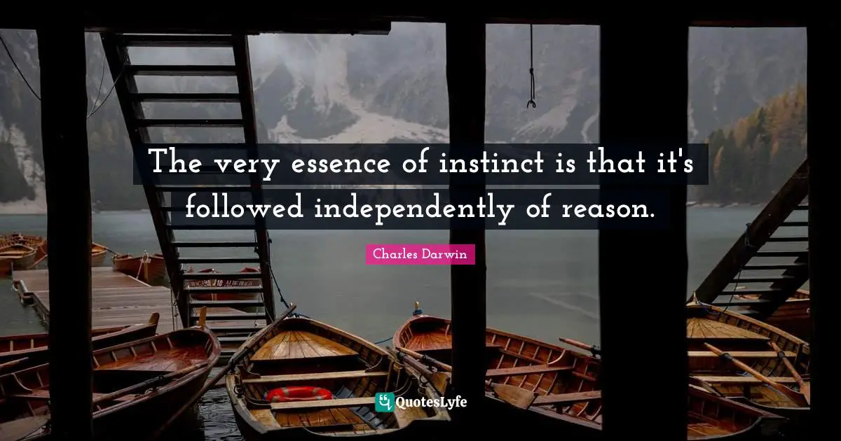 Charles Darwin Quotes: "The very essence of instinct is that it's followed independently of reason."