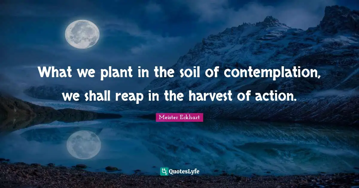 Meister Eckhart Quotes: "What we plant in the soil of contemplation, we shall reap in the harvest of action."