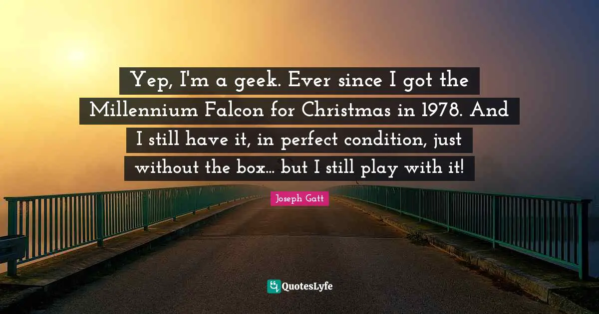 Yep, I'm a geek. Ever since I got the Millennium Falcon for Christmas in 1978. And I still have it, in perfect condition, just without the box... but I still play with it!