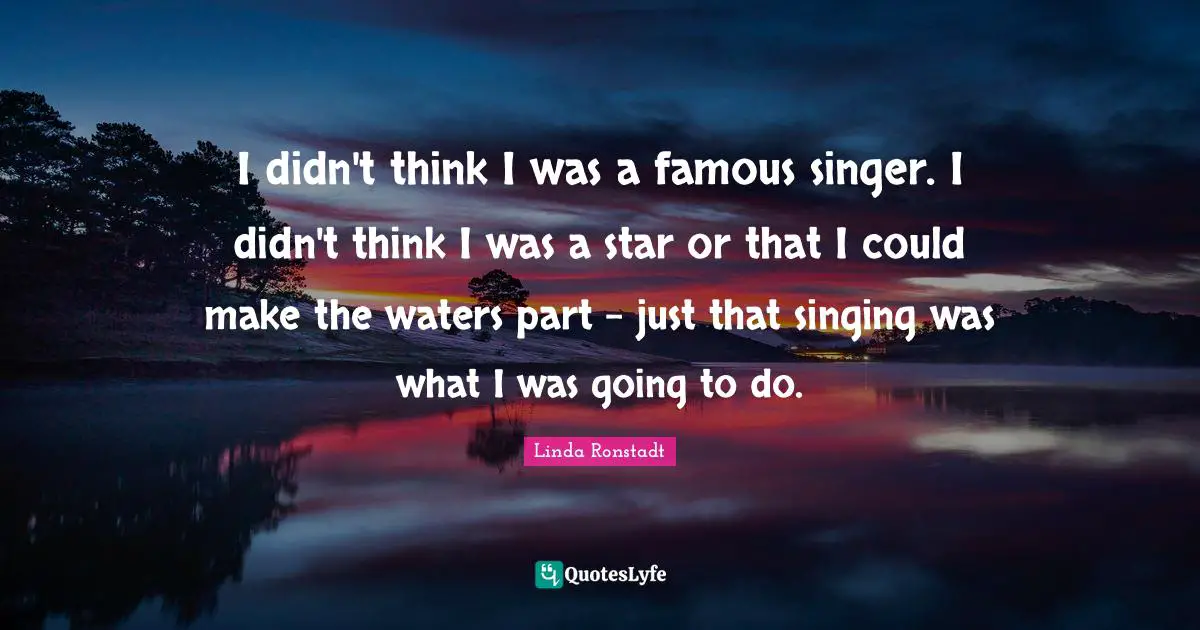 I didn't think I was a famous singer. I didn't think I was a star or that I could make the waters part - just that singing was what I was going to do.